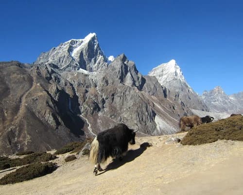 Everest Base Camp Trek Lobuche